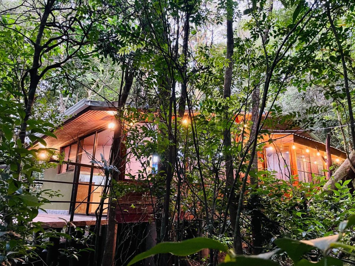 Cabanas La Montana Монте-Верде Экстерьер фото