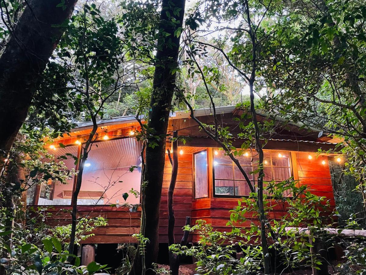Cabanas La Montana Монте-Верде Экстерьер фото
