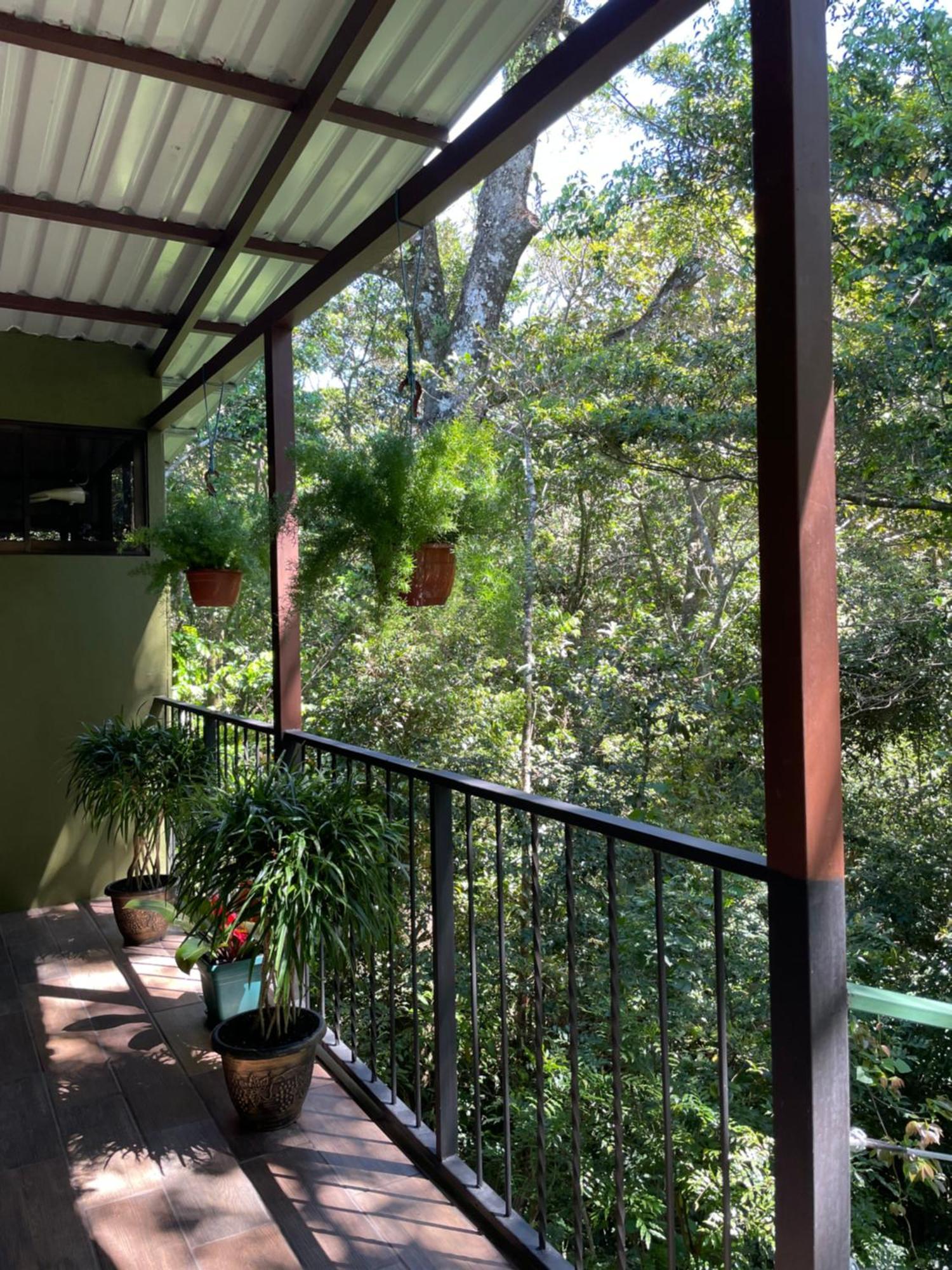 Cabanas La Montana Монте-Верде Экстерьер фото
