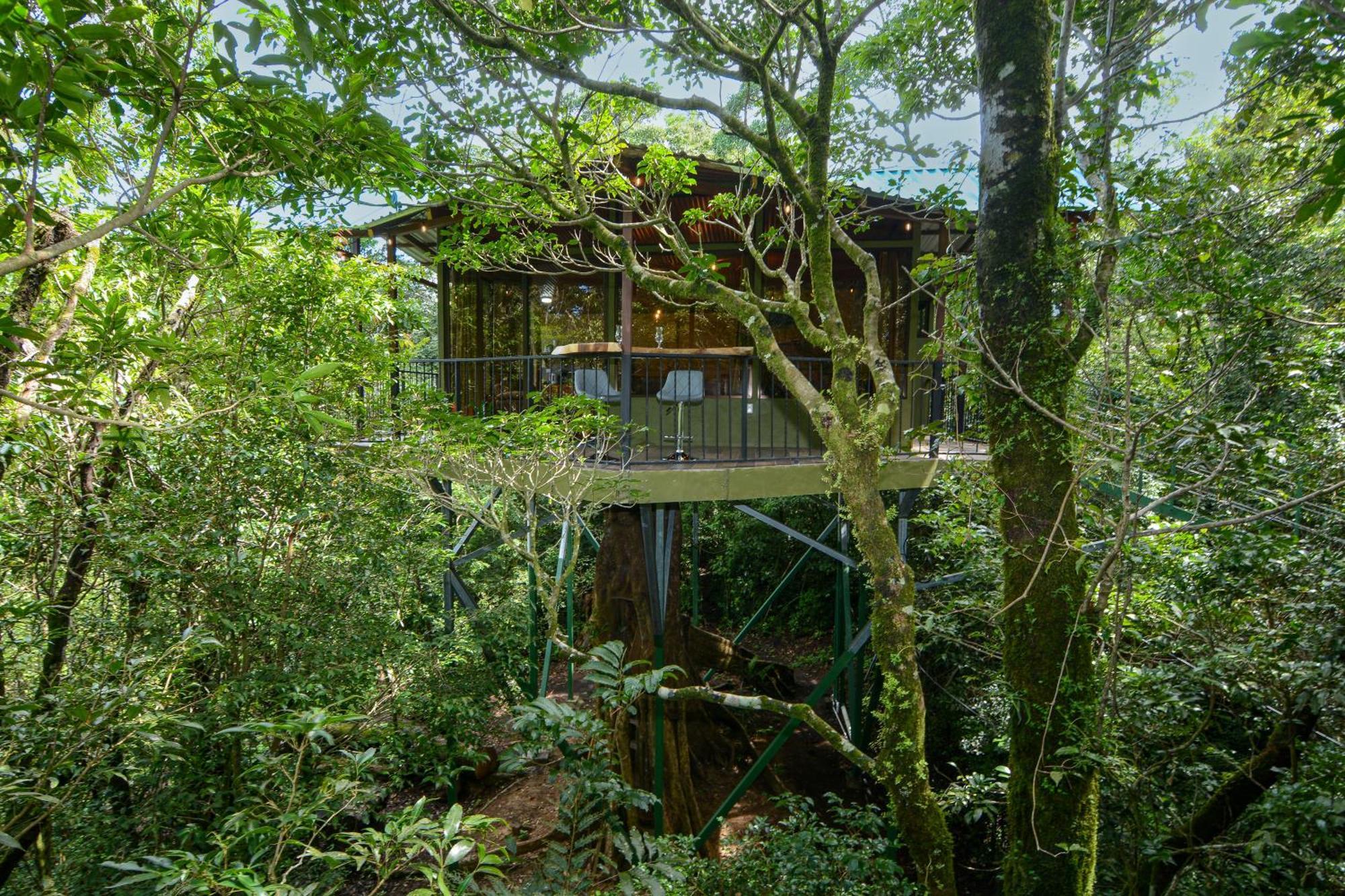 Cabanas La Montana Монте-Верде Экстерьер фото