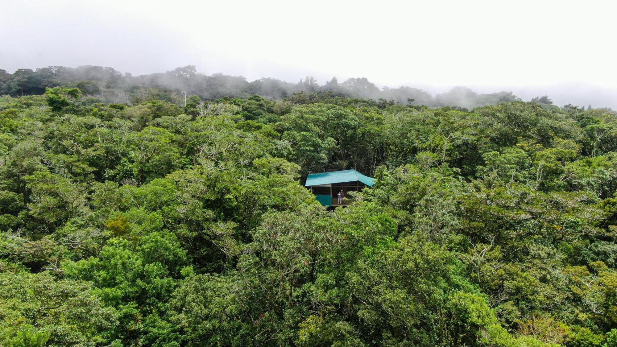 Cabanas La Montana Монте-Верде Экстерьер фото