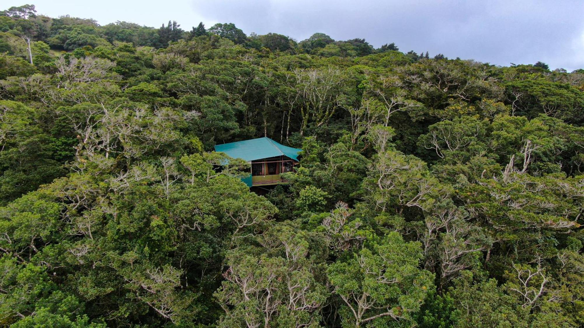 Cabanas La Montana Монте-Верде Экстерьер фото