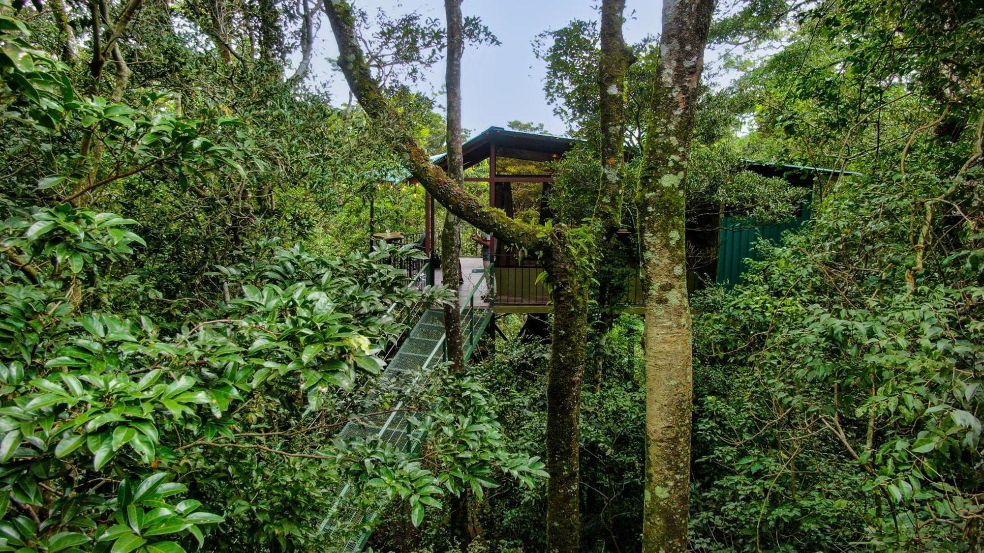 Cabanas La Montana Монте-Верде Экстерьер фото
