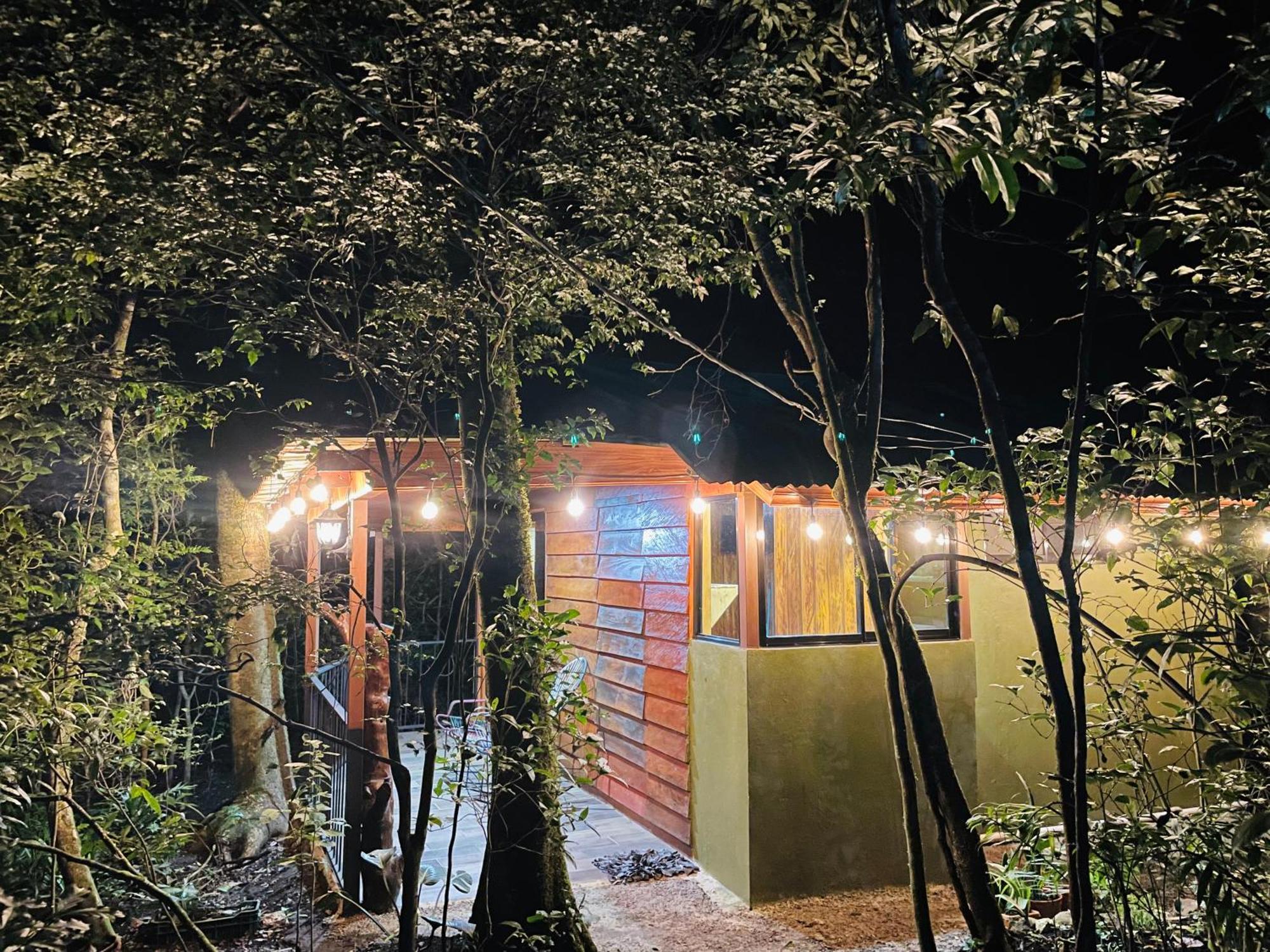 Cabanas La Montana Монте-Верде Экстерьер фото