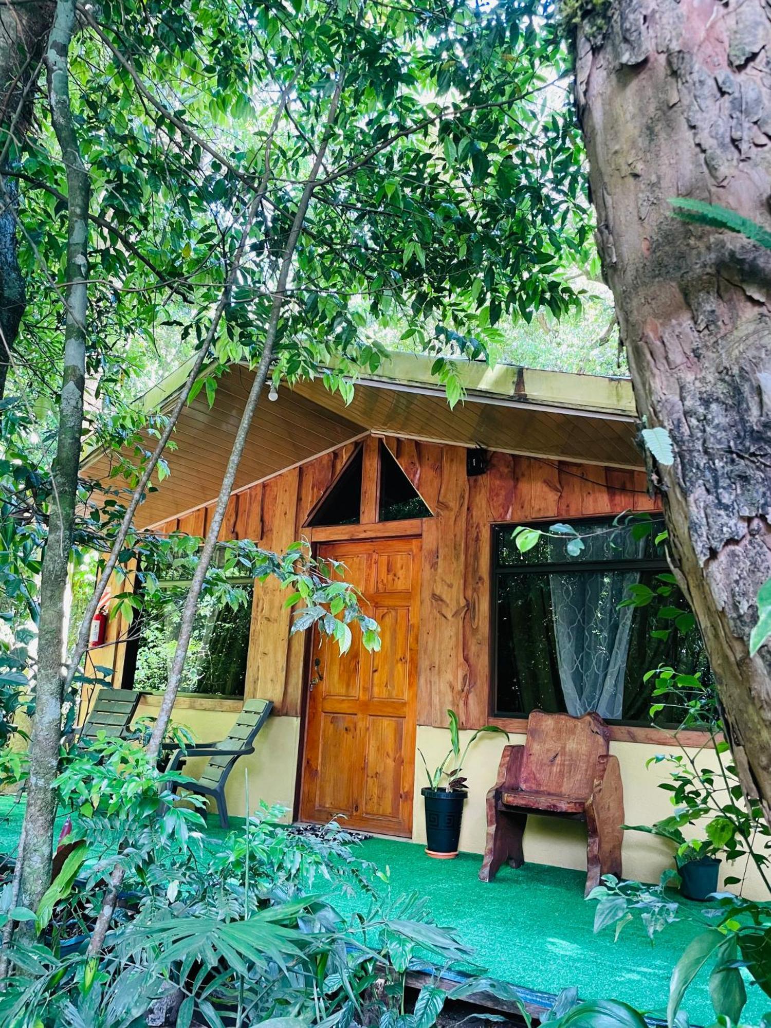 Cabanas La Montana Монте-Верде Экстерьер фото