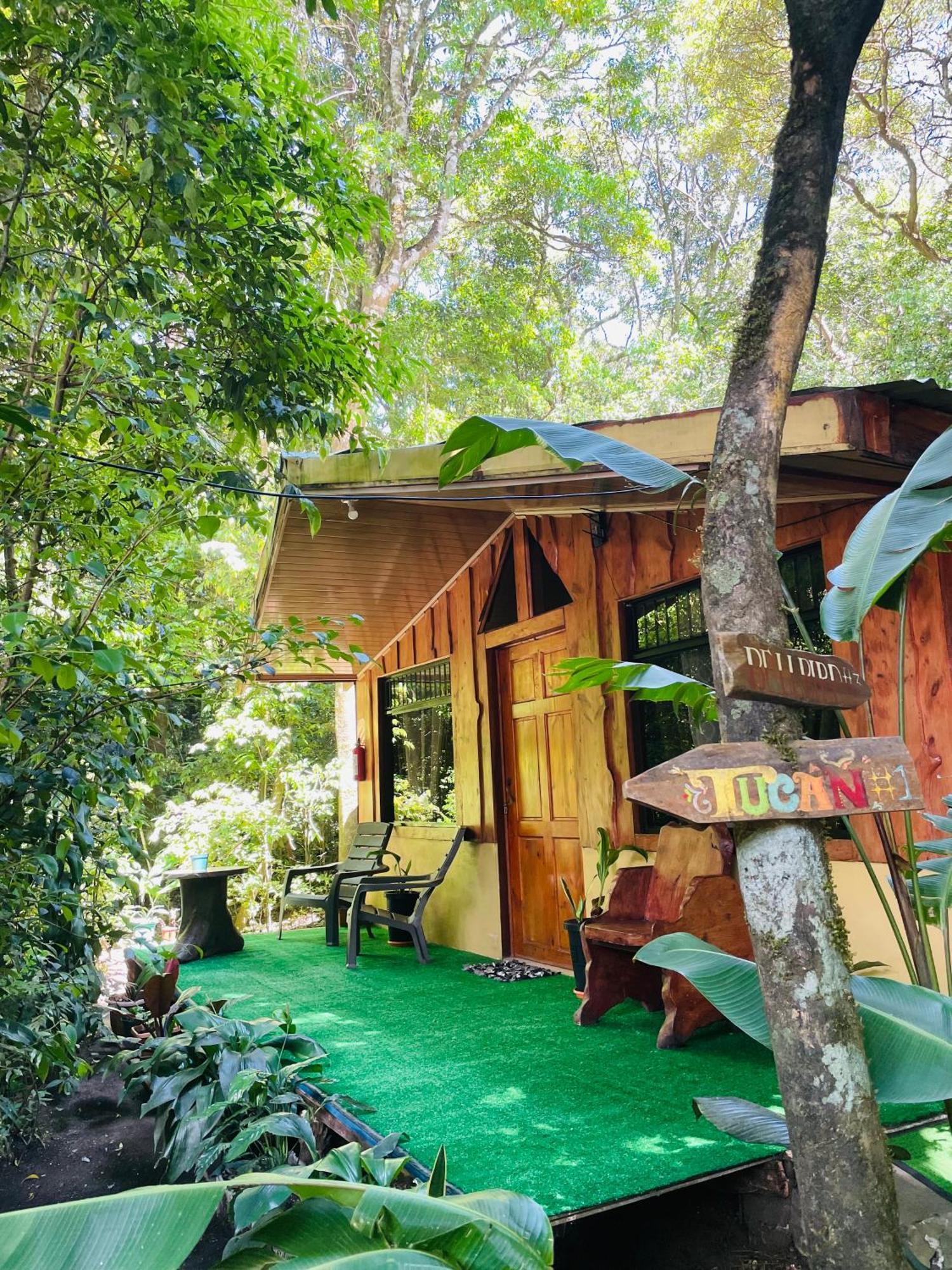 Cabanas La Montana Монте-Верде Экстерьер фото