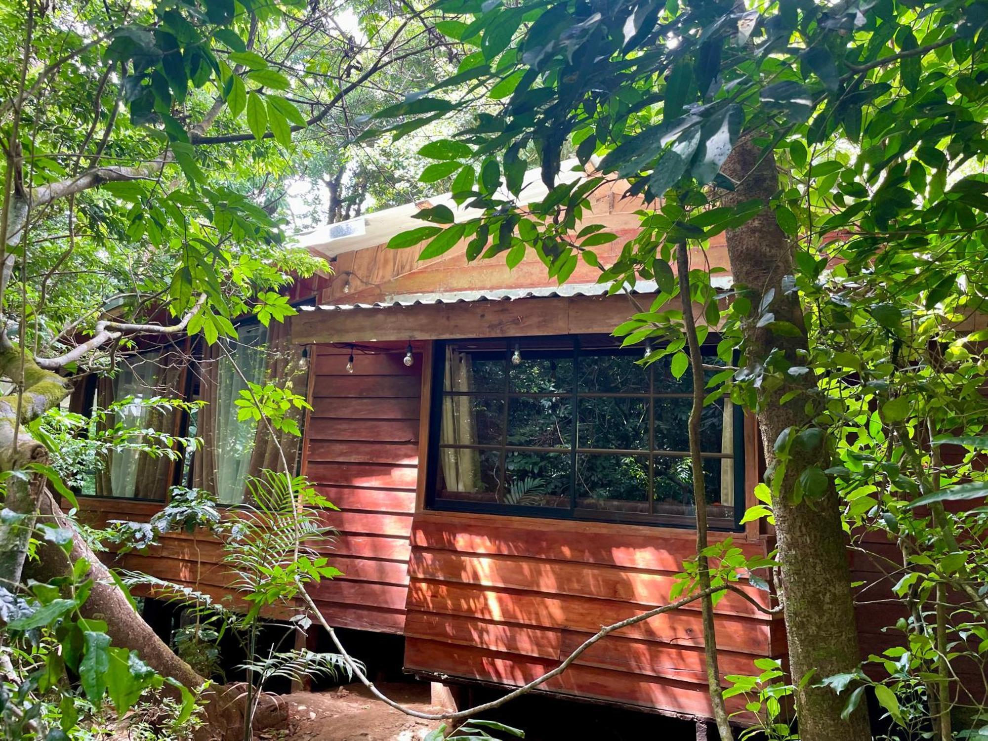 Cabanas La Montana Монте-Верде Экстерьер фото